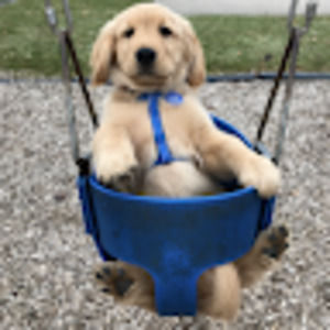 Meet your Posher, Tran